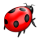 Bug Icon.png