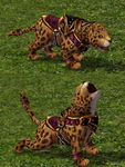 Leopardenbaby 0.png
