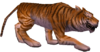 Hungriger Tiger.png