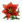Blutrote Blume.png